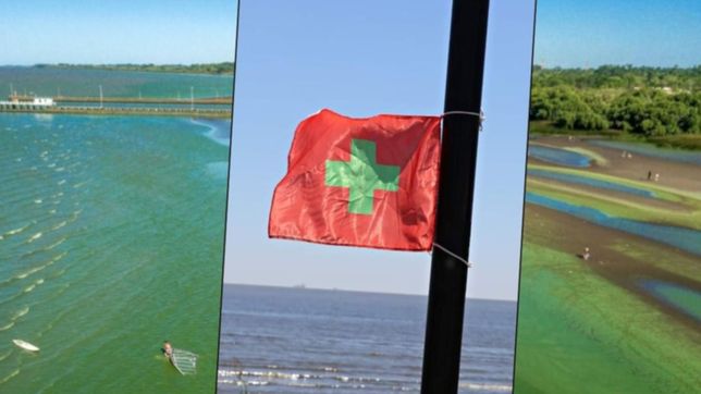 este verano habra banderas para alertar sobre la presencia de cianobacterias en las playas