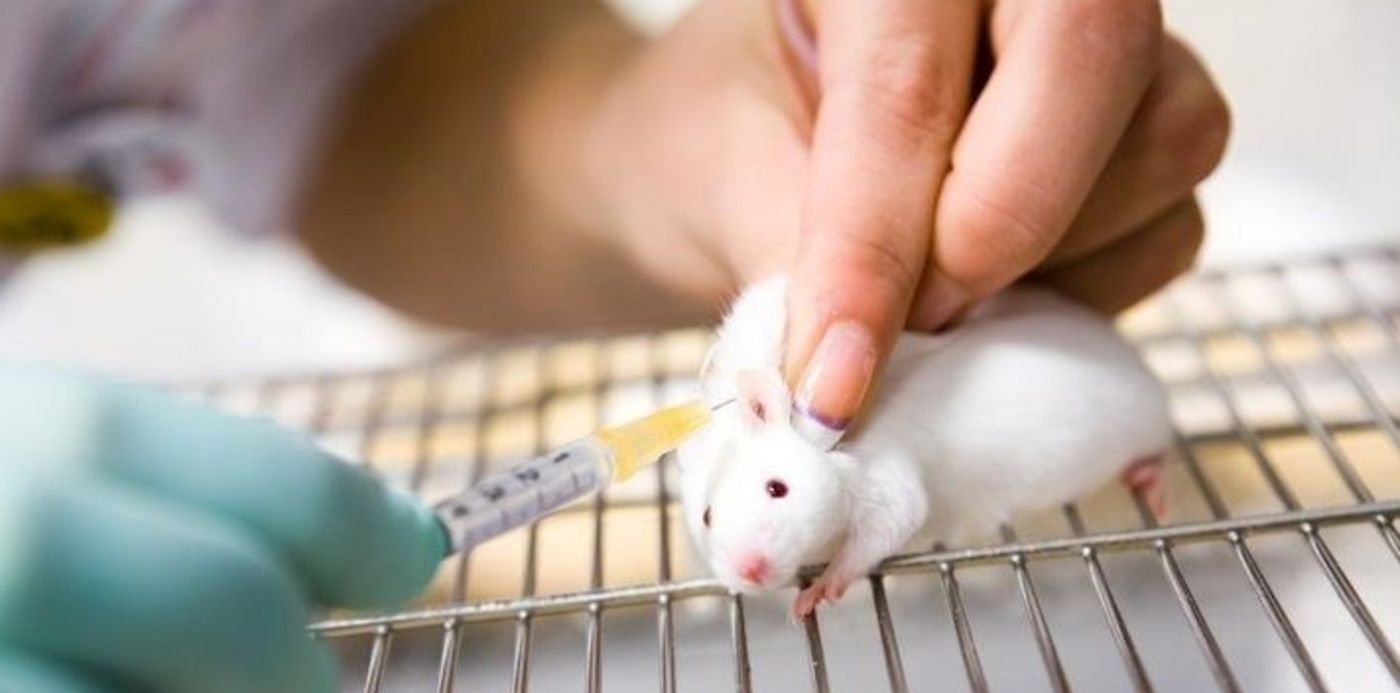 1617501989005.jpg?x=11&y=19&width=711&height=356&rotate=0&scaleX=1&scaleY=1&ow=724&oh=483&&cw=1920&ch=950