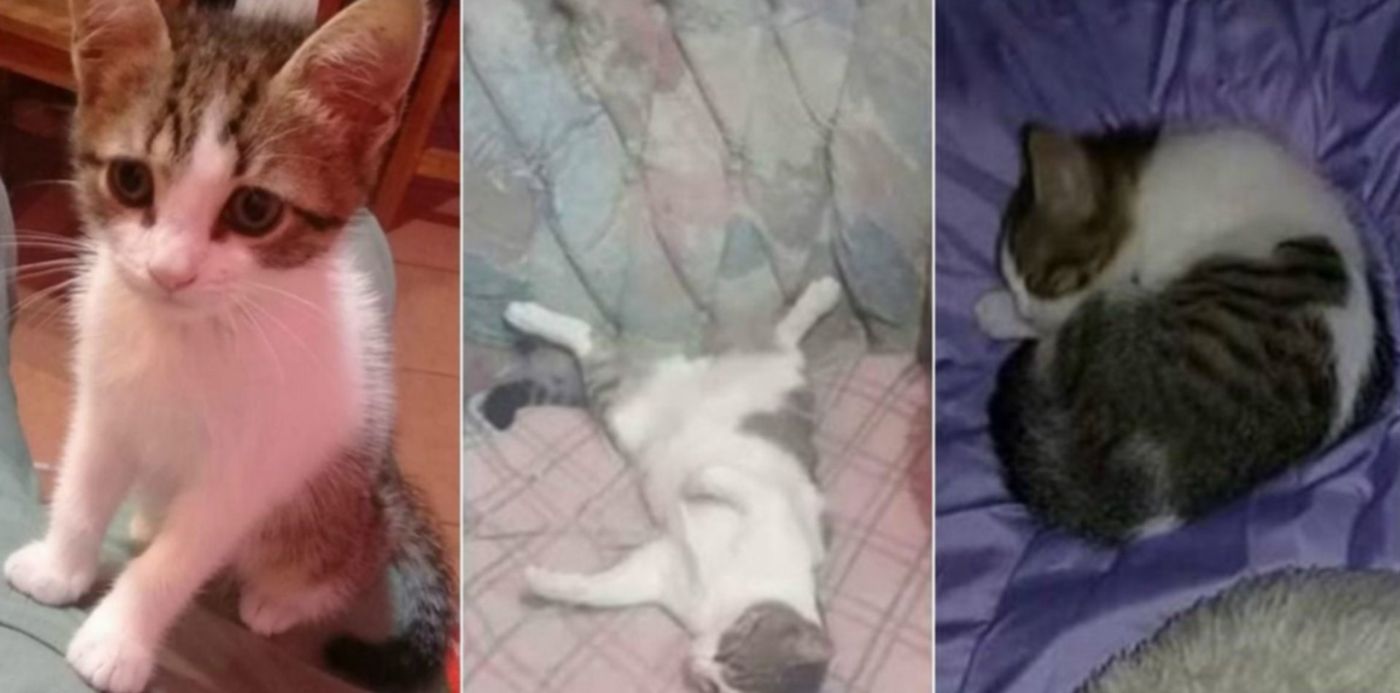 1539990626094.jpg?scaleY=1&ow=1200&x=10&y=55&width=1183&height=592&rotate=0&scaleX=1&oh=720&&cw=1920&ch=950