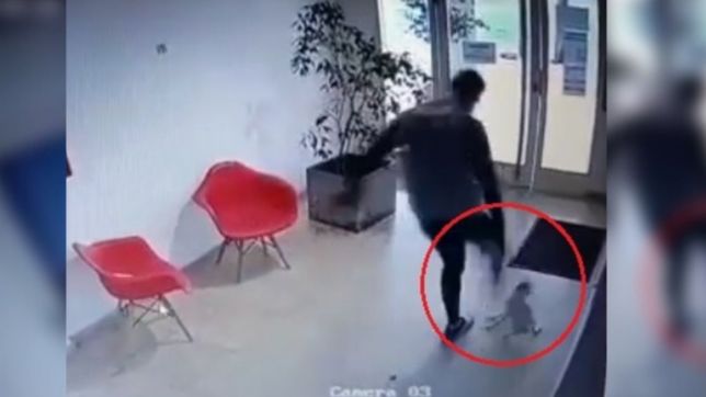 la perrita atacada a patadas en la plata sufrio fracturas en seis costillas y sera operada