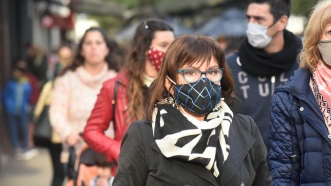 los dos momentos bisagra para la pandemia en argentina, segun un investigador del conicet