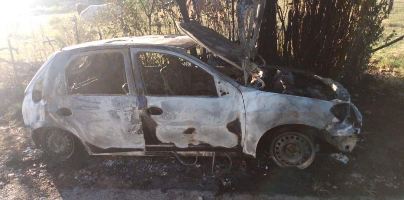 1583696444045.jpg?rotate=0&oh=585&x=1&y=20&width=1035&height=517&scaleX=1&scaleY=1&ow=1040&&cw=1920&ch=950