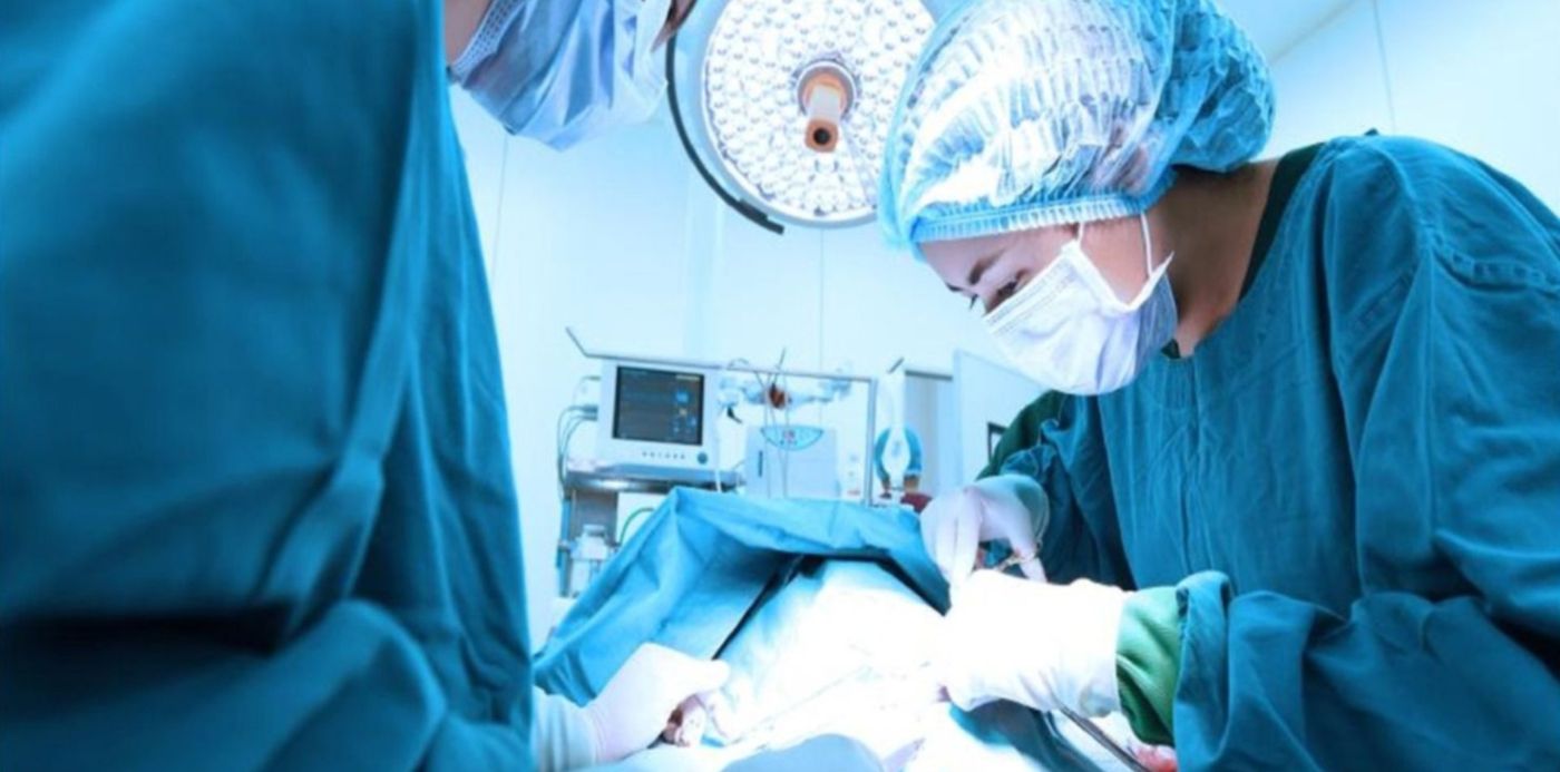 1556133997279.jpg?x=7&oh=1001&rotate=0&scaleX=1&scaleY=1&ow=1500&y=137&width=1484&height=742&&cw=1920&ch=950