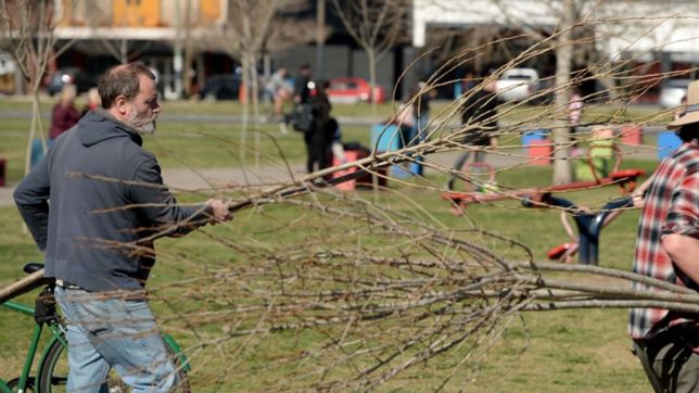 realizan una jornada de forestacion en meridiano v por el dia del arbol