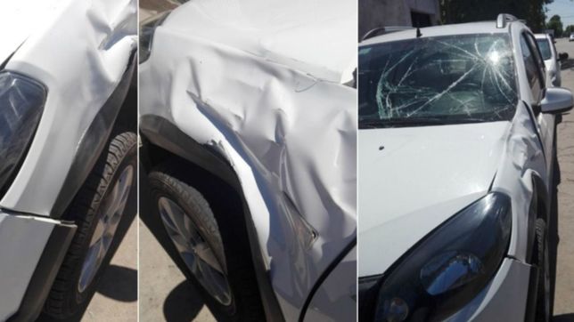 ?estamos vivos de milagro?, el relato de una familia que iba en auto y la choco un caballo