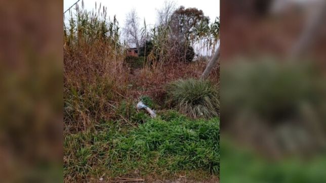 el hombre que abuso a una mujer en un descampado sigue libre y temen que vuelva a atacar