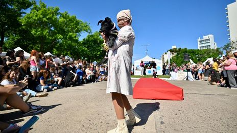 Vuelve el desfile de mascotas La Plata con feria, adopción y actividades gratuitas Vuelve el desfile de mascotas La Plata con feria, adopción y actividades gratuitas