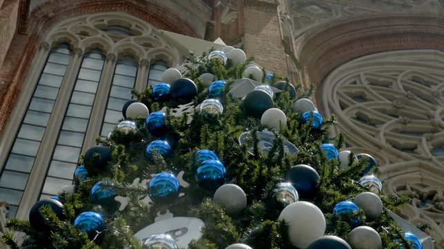 el arbol navideno de la catedral desato la polemica menos pensada
