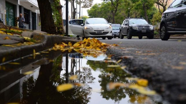 nubes, neblina y lluvias: asi estara el clima en la plata en la semana