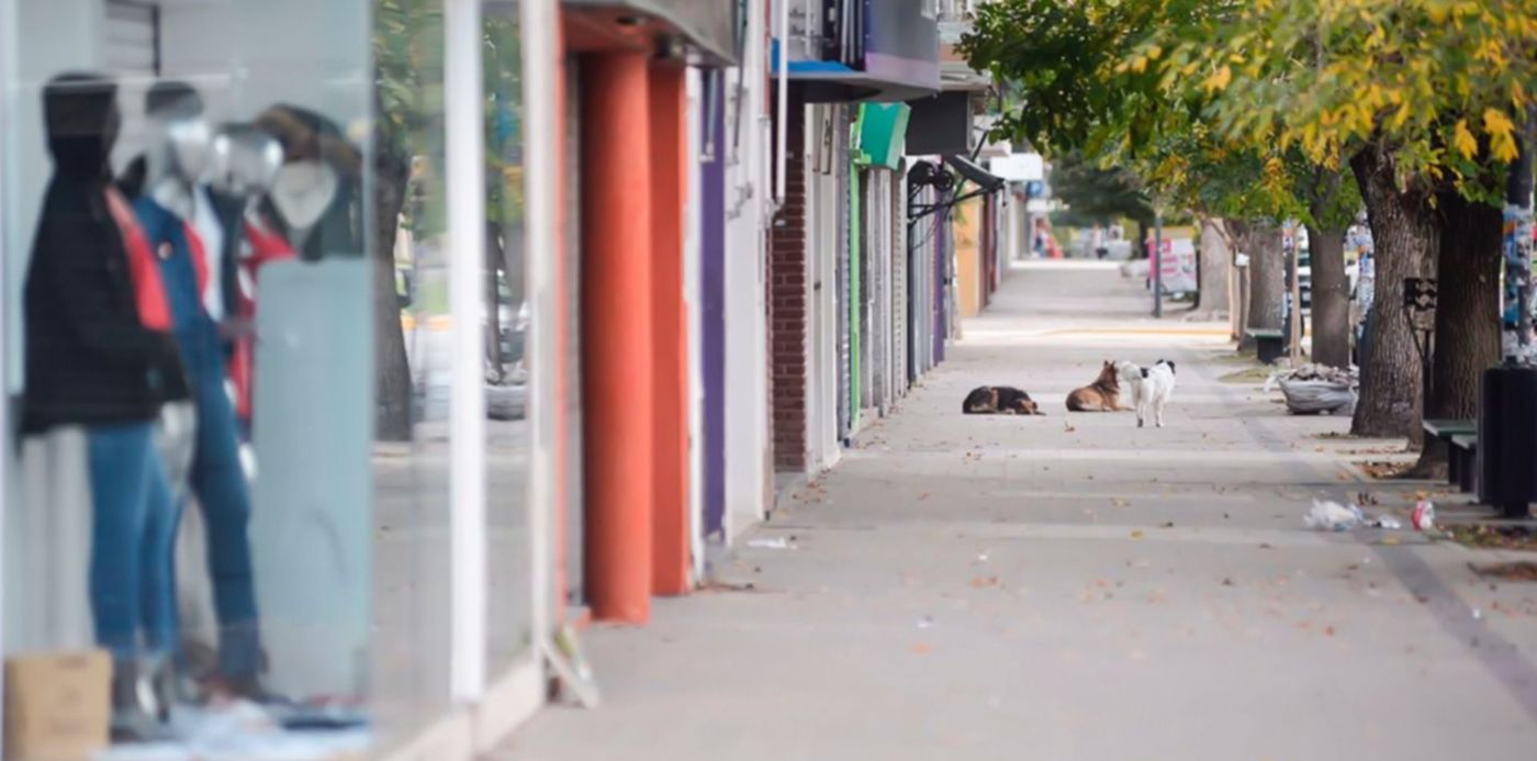 1525183574804.jpg?x=7&y=149&width=1486&height=743&rotate=0&scaleX=1&scaleY=1&ow=1500&oh=998&&cw=1920&ch=950