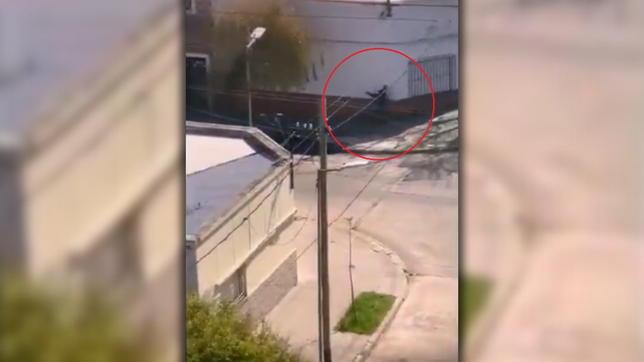 una camara grabo el tiroteo en tolosa que termino con un delincuente herido