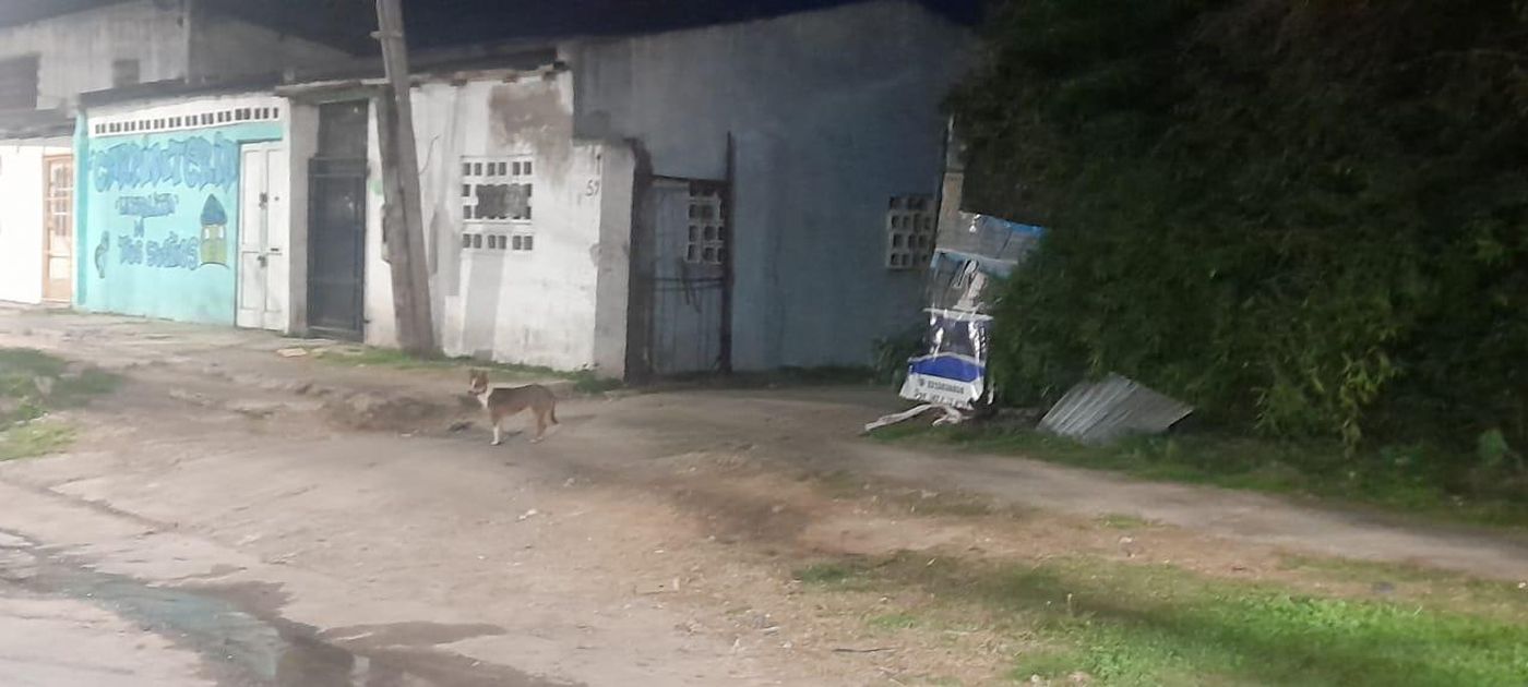 WhatsApp Image 2024-08-14 at 22.31.14.jpeg