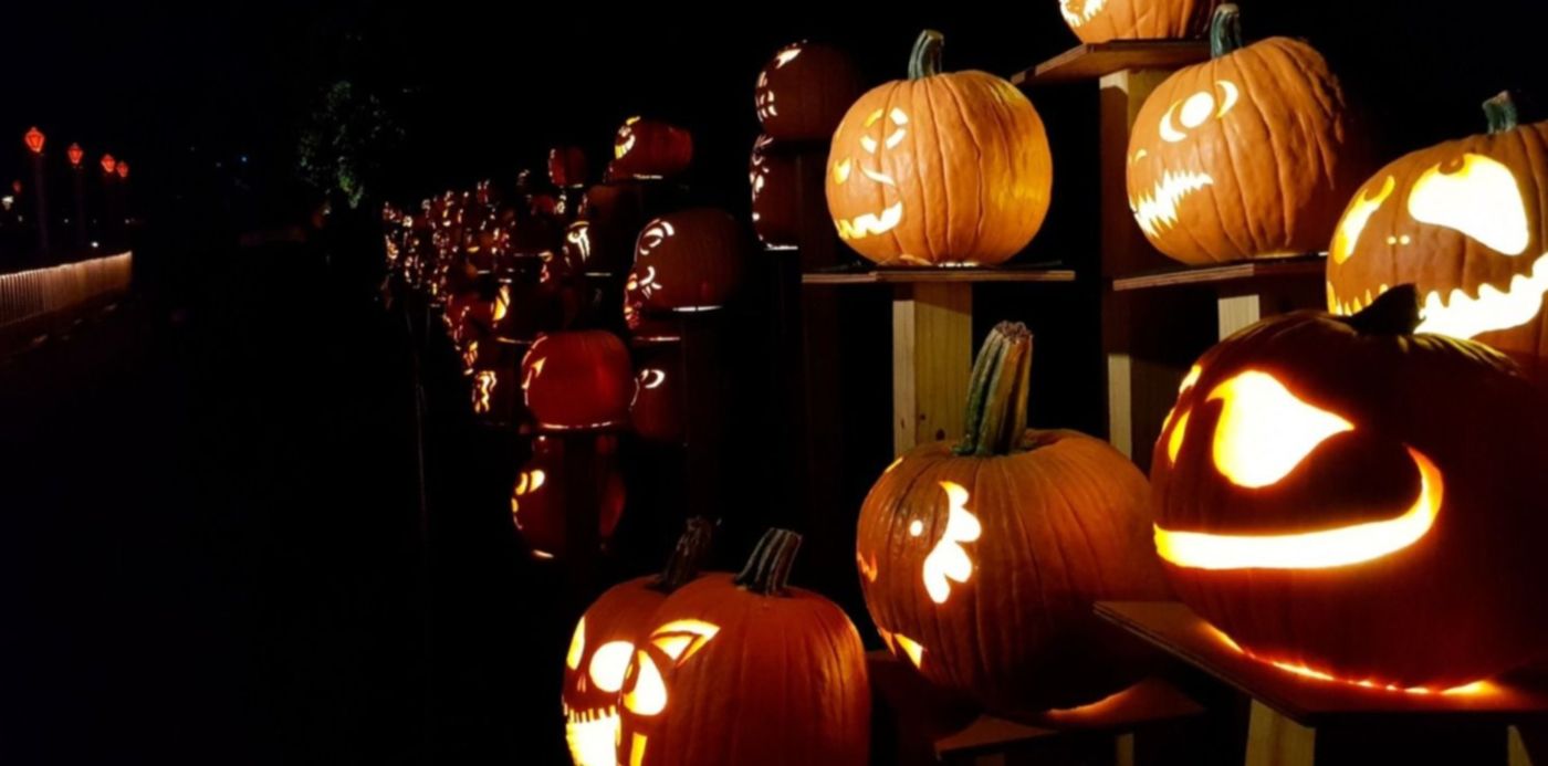 1667221548785.jpg?x=8&y=87&width=1489&height=744&rotate=0&scaleX=1&scaleY=1&ow=1500&oh=843&&cw=1920&ch=950