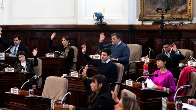 el cambio en el reglamento que alteraria la relacion de poder en el concejo deliberante