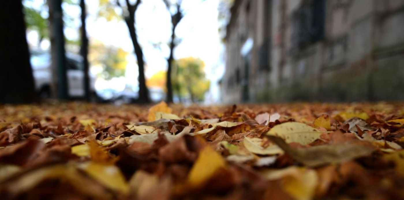 1587694282601.jpg?scaleX=1&scaleY=1&ow=1500&oh=996&x=4&y=0&width=1486&height=743&rotate=0&&cw=1920&ch=950