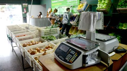 Los valores de los agroalimentos se multiplicaron casi cuatro veces de origen al consumidor