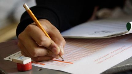 ANSES confirmó el pago de una ayuda escolar de $8.120: ¿quiénes y cómo pueden tramitarlo?