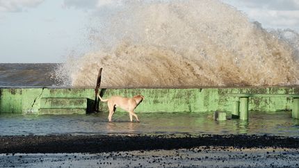 Alertan por una crecida del Río de la Plata cercana a los tres metros