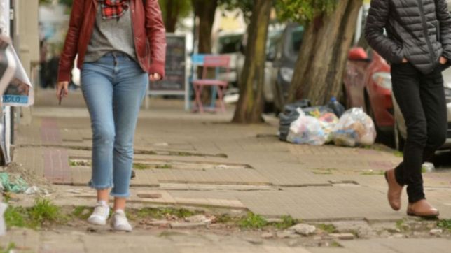 polemica por el plan de baldosas gratis: la oposicion pide informes a garro