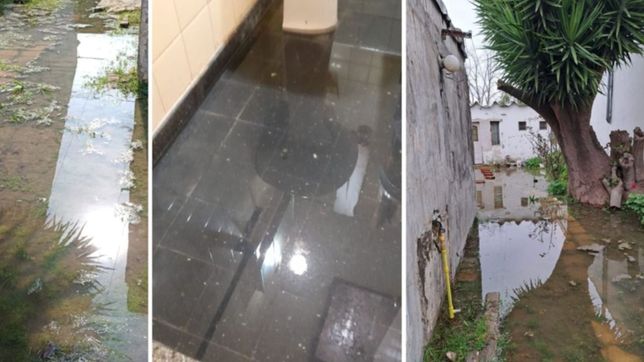 cloacas desbordadas y banos inundados: el calvario de vecinos en una cuadra de la plata