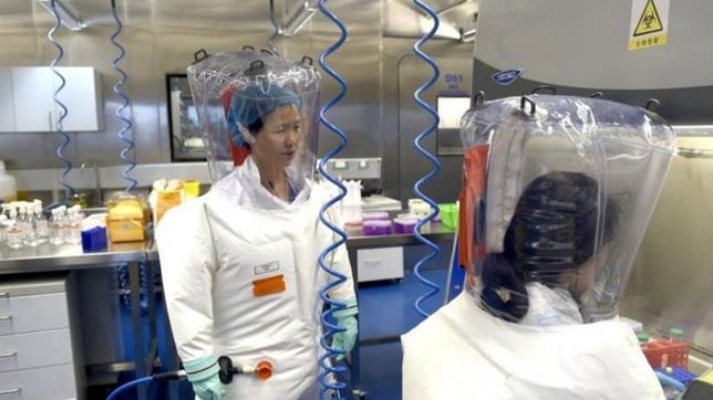 los correos que prueban que china y el instituto de wuhan intentaron ocultar el covid-19