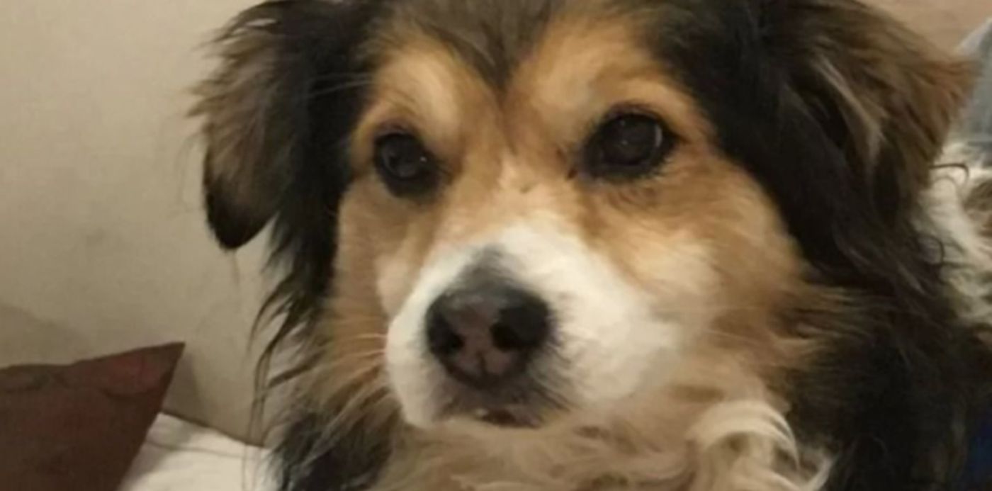 1628941579195.jpg?x= 3&y=91&width=889&height=445&rotate=0&scaleX=1&scaleY=1&ow=887&oh=611&&cw=1920&ch=950