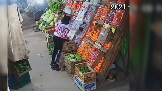 salieron de una fiesta, saquearon una verduleria en la plata y quedaron filmados