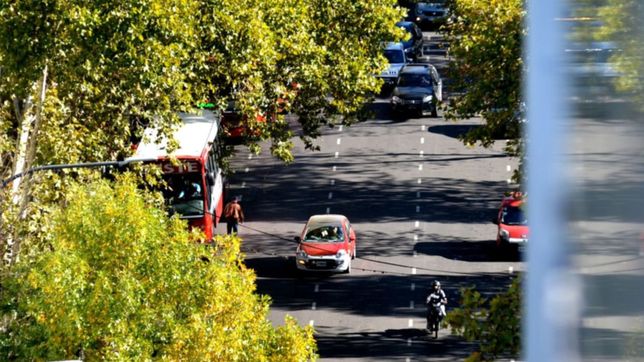 la semana termina con buen tiempo y asi va a seguir el clima en la plata