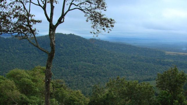 la unlp le cedera mas de 6 mil hectareas a cinco comunidades guaranies en misiones