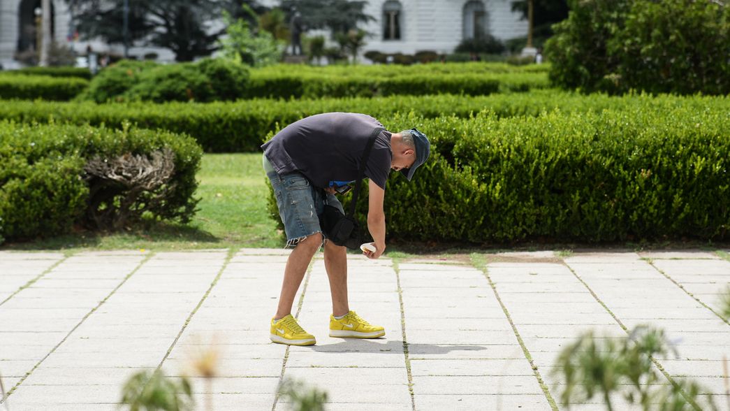Anticipan que la invasión de mosquitos en La Plata terminará antes de lo previsto