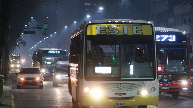 paro de micros: ¿que pasara este martes en la plata y la region?