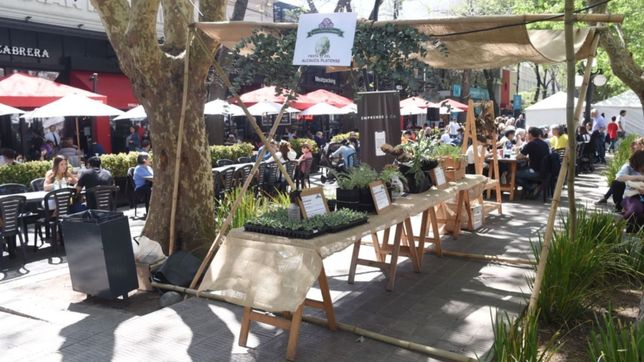 ultimo dia de la fiesta del alcaucil en la plata