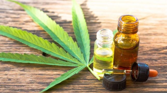la justicia federal de la plata avalo usar cannabis medicinal para una menor autista