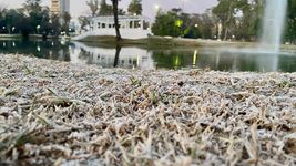 la plata amanecio congelada y el frio se extendera toda la semana
