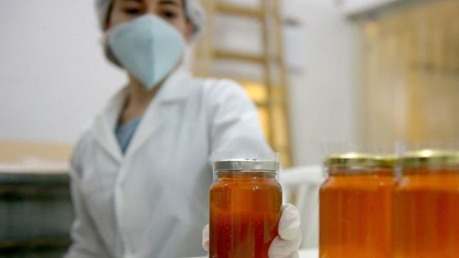 prohibieron la venta de una miel de el bolson, productos medicos y cosmeticos ilegales