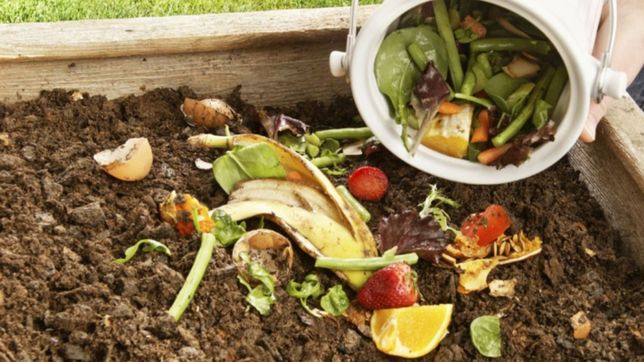 garro veto la creacion de una compostera en una rambla y estallo la polemica en el concejo