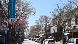 ¿cuales seran las obras que la municipalidad de la plata hara en los paseos comerciales de 8 y 12? ¿cuales seran las obras que la municipalidad de la plata hara en los paseos comerciales de 8 y 12?