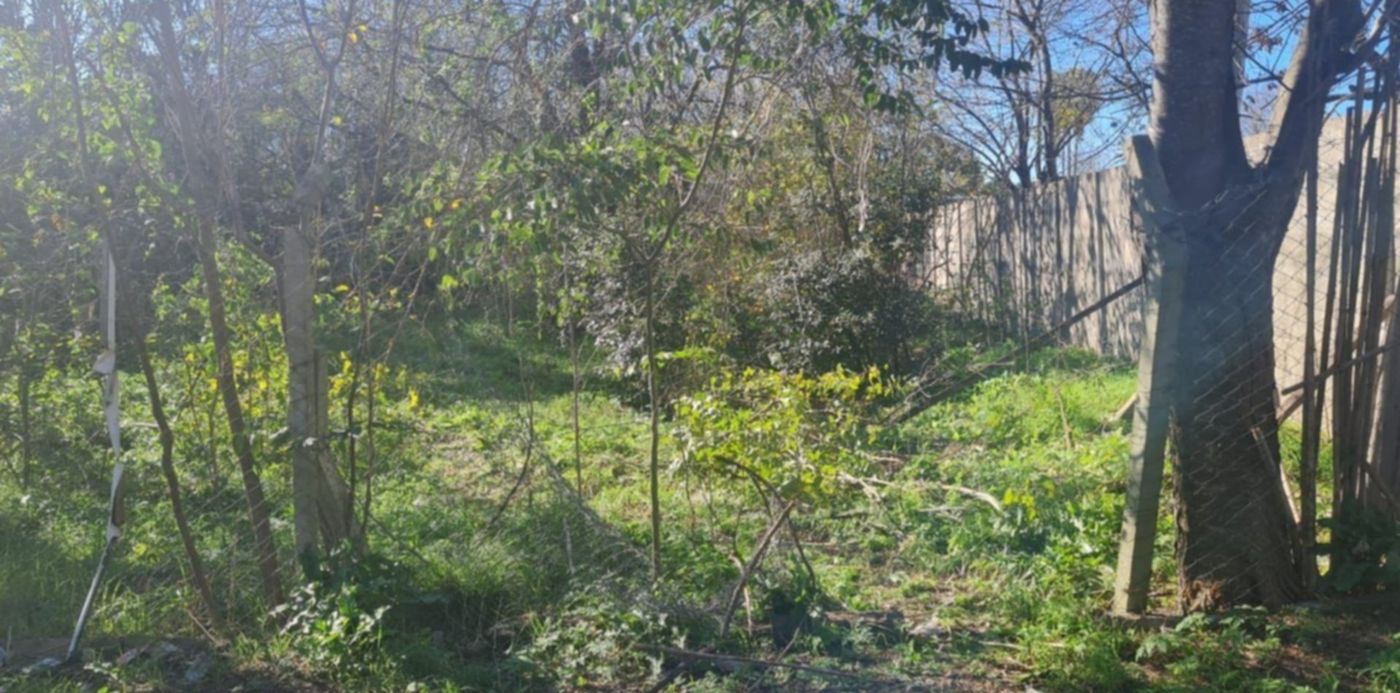 1686784895588.jpeg?x=6&y=202&width=1271&height=635&rotate=0&scaleX=1&scaleY=1&ow=1280&oh=960&&cw=1920&ch=950