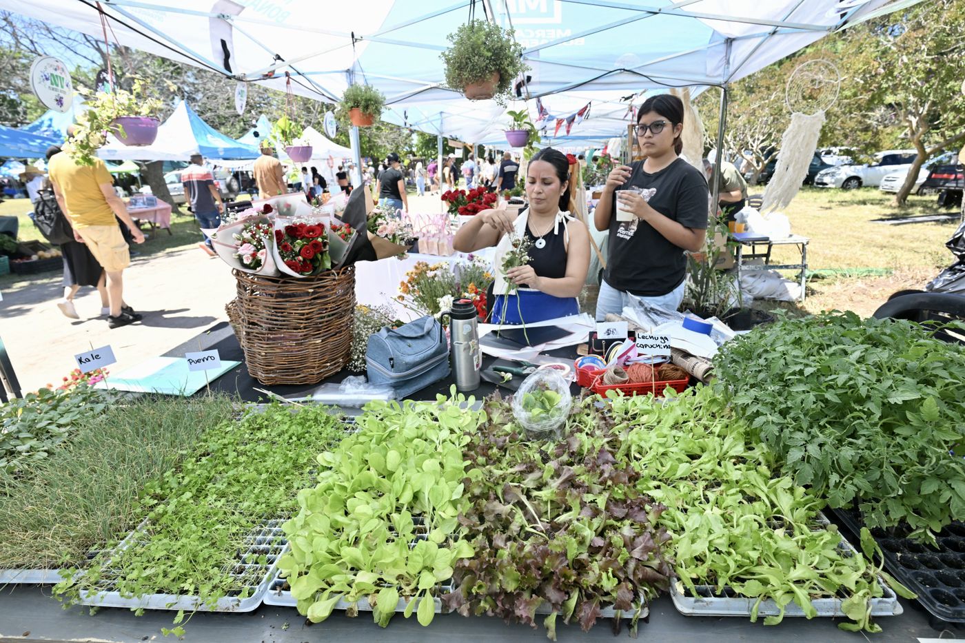 fiesta del tomate platense 2026 (6)