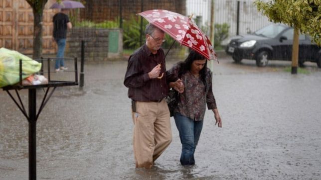 la unlp lanzo una campana solidaria para ayudar a los damnificados del ultimo temporal