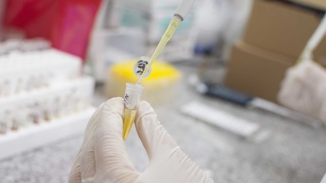 especialistas detectan patologias tiroideas en el embarazo y hacen diagnosticos en la plata