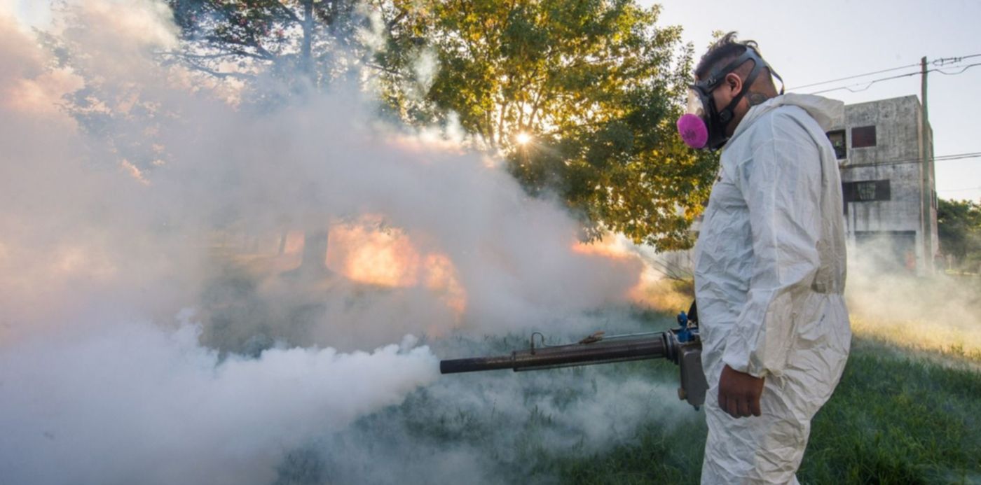 Fumigación Mosquitos Dengue