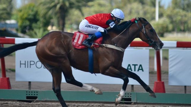 la plata se prepara para una nueva edicion del gran premio dardo y ya hay un favorito