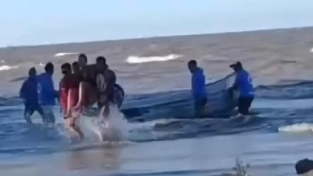 una raya pico a una turista en la isla paulino y activo un rapido operativo de rescate