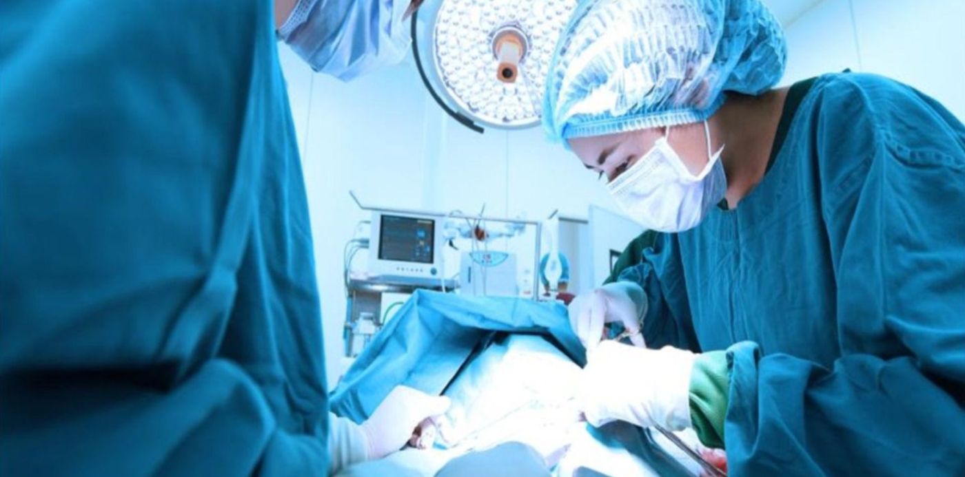 1556133997279.jpg?height=743&scaleX=1&scaleY=1&x=7&y=154&ow=1500&oh=1001&width=1487&rotate=0&&cw=1920&ch=950