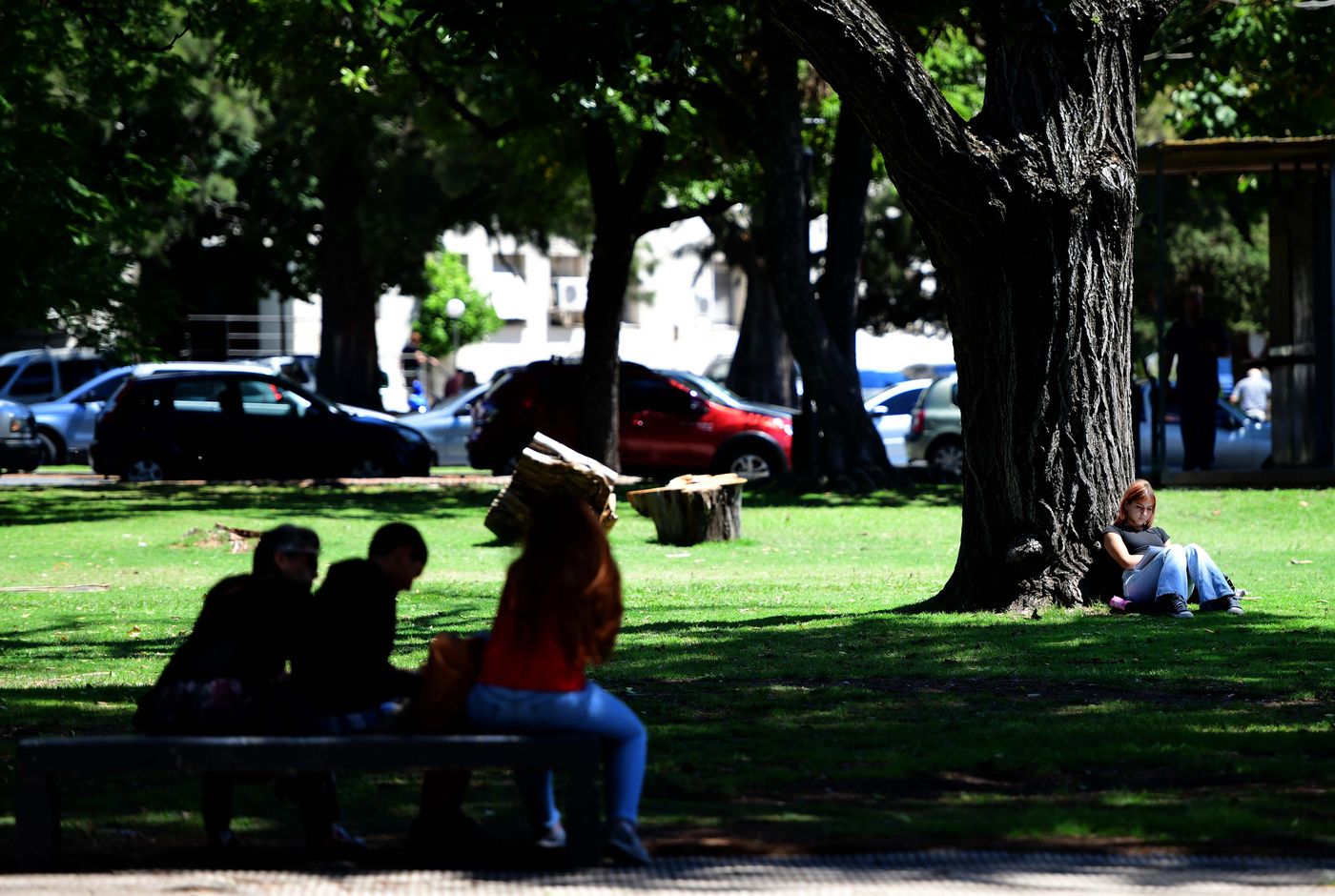 El sábado estará algo inestable y el domingo será ideal para disfrutarlo al aire libre en La Plata. El sábado estará algo inestable y el domingo será ideal para disfrutarlo al aire libre en La Plata.