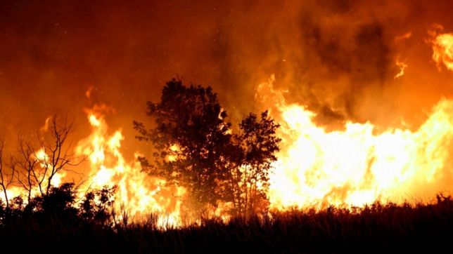 la plata junta donaciones para enviar a la patagonia afectada por los incendios