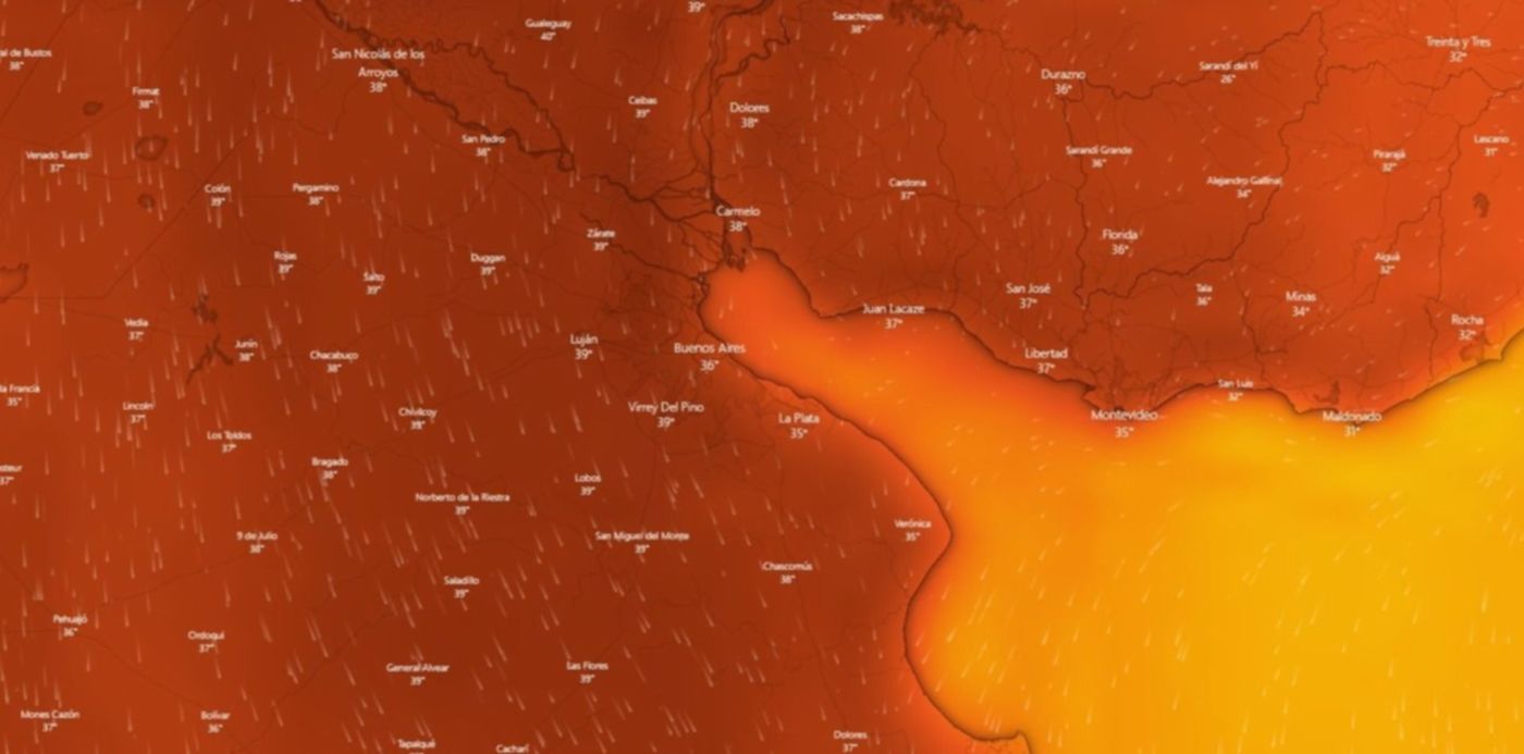 1641767372433.jpg?x=60&y=9&width=1380&height=690&rotate=0&scaleX=1&scaleY=1&ow=1500&oh=706&&cw=1920&ch=950