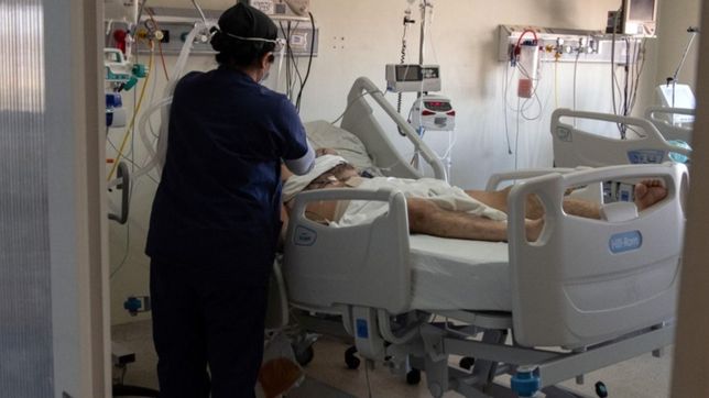 coronavirus en argentina: 6.609 contagios y 138 muertes en las ultimas 24 horas