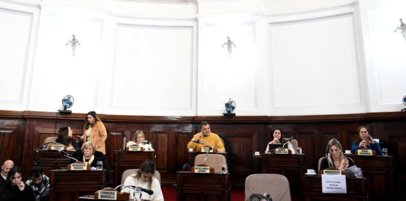 Concejo deliberante sesion 17